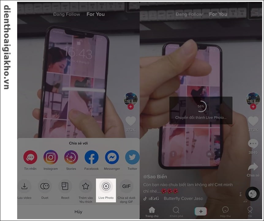 Hướng dẫn lấy video trên Tik Tok làm hình nền cho iOS