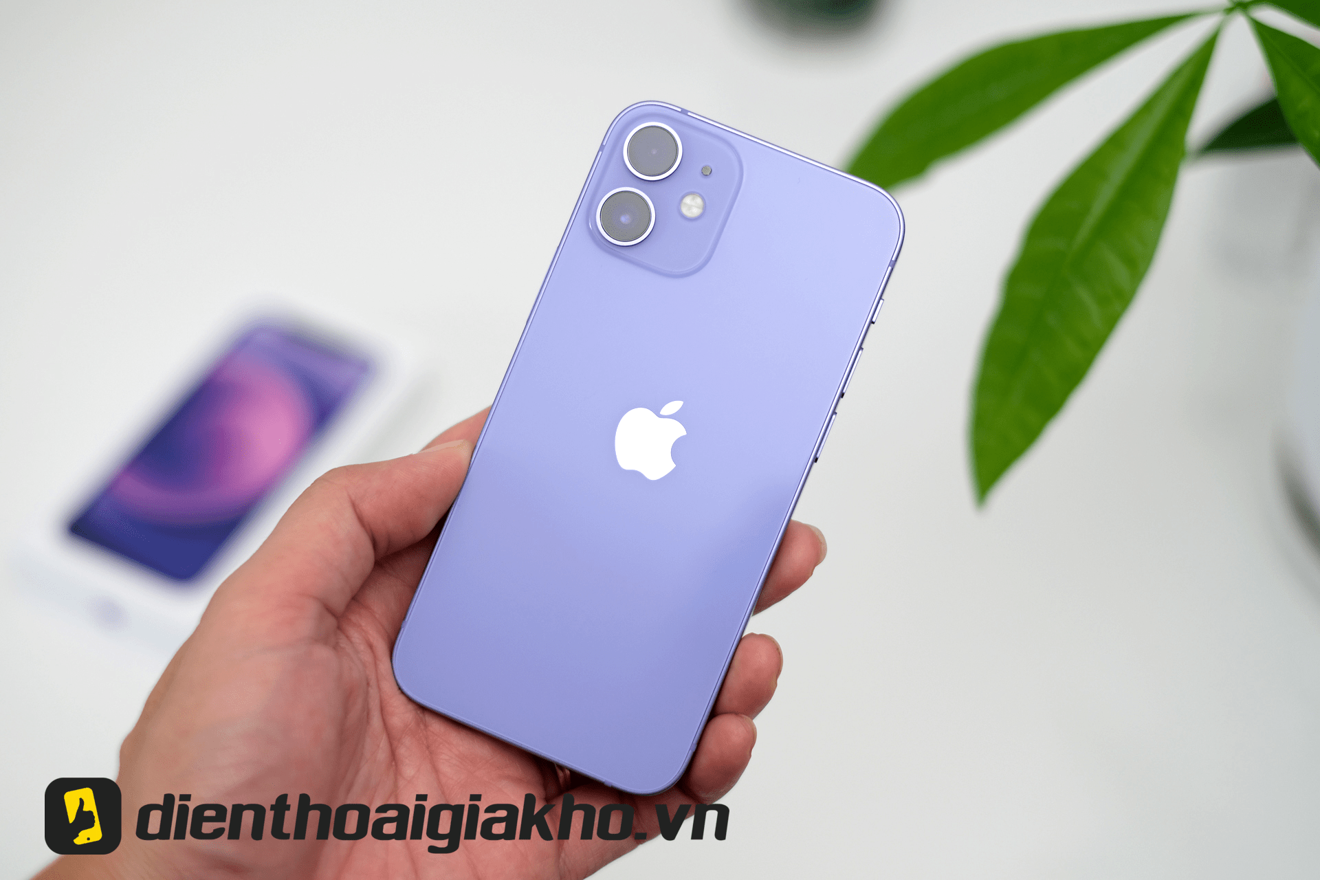iPhone 12 màu tím mới nhất 