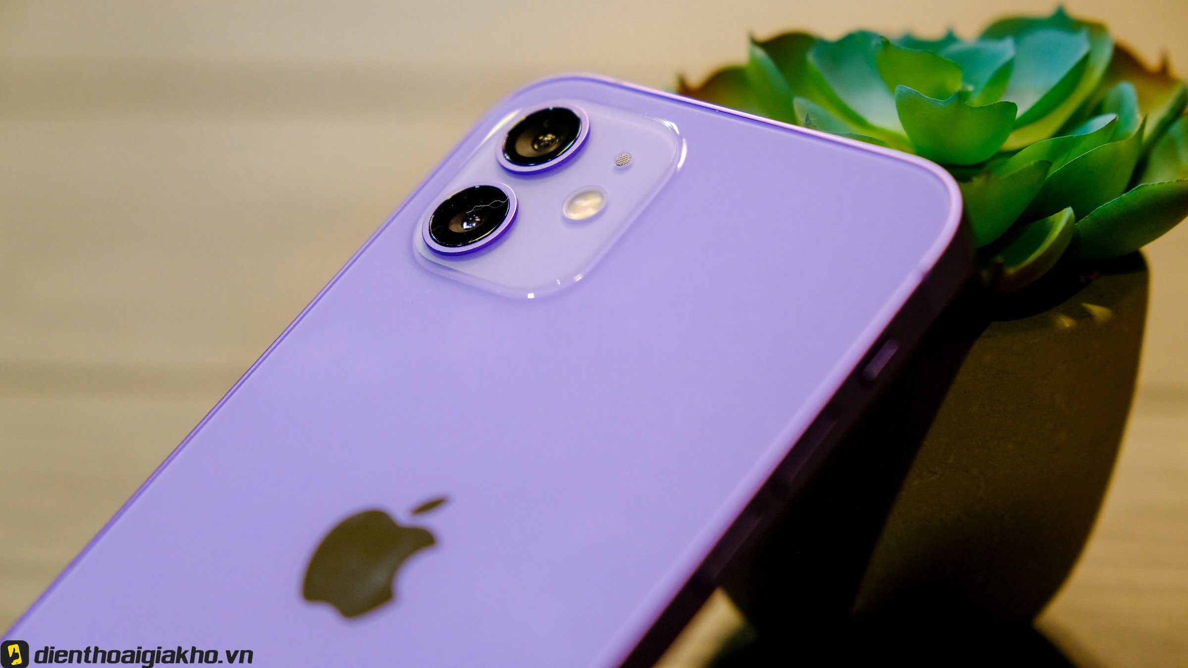 Sự làm mới mình của Apple để tạo ra hiệu ứng với thị trường với sắc tím ở mặt sau iphone 12 màu tím đầy tinh tế và sang trọng