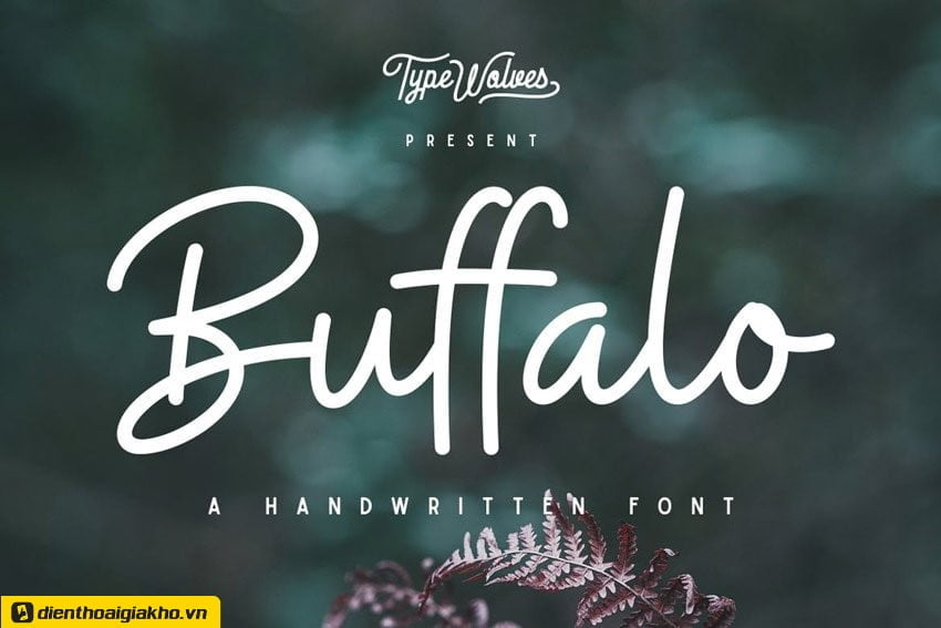 Phông chữ tiếp theo, Buffalo, là một trong các font chữ đẹp viết tay thanh lịch và linh hoạt.