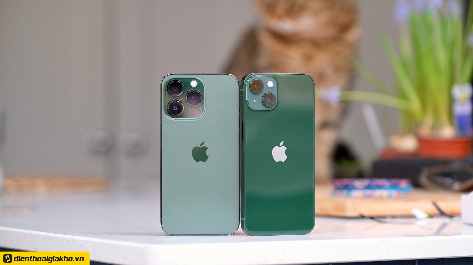 iPhone 13 sẽ có phiên bản màu xanh lá cây; và iPhone 13 Pro sẽ có màu xanh lục núi cao (dịch thô: Alpine green). Phiên bản Alpine Blue đậm hơn một chút so với màu xanh lá cây và gợi lên sự hài hòa với thiên nhiên và cây cối  trong thiết kế của dòng iPhone 13 Pro. 