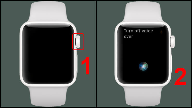 Tắt nguồn Apple Watch khi đồng hồ hết sạch pin