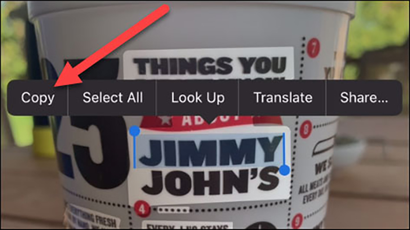 cách sao chép chữ từ ảnh trên iPhone
