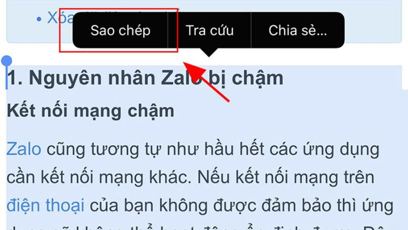 cách sao chép chữ từ ảnh trên iPhone