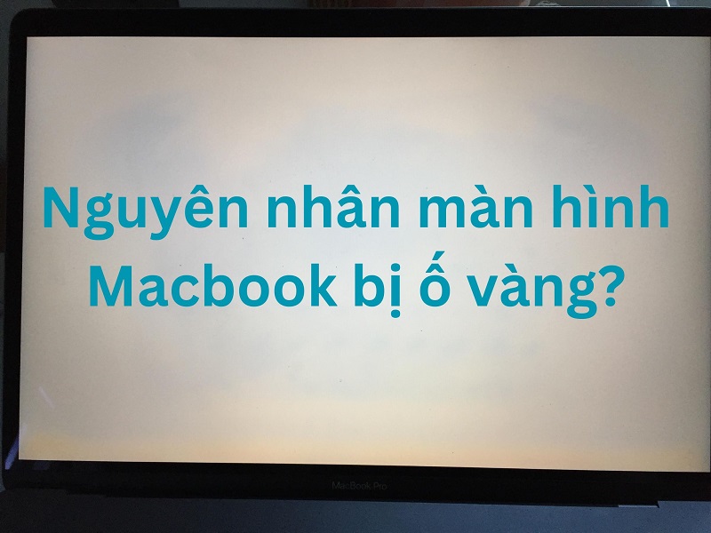 Nguyên nhân màn hình Macbook bị ố vàng