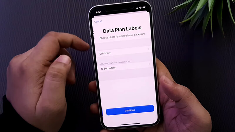 Giới thiệu về SIM vật lý và eSIM trên thiết bị iPhone của Apple