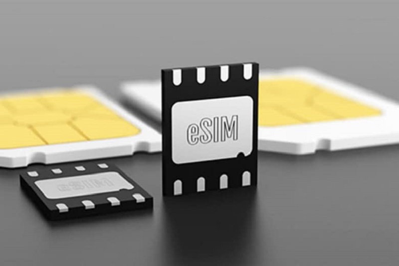 iPhone 11 pro max có esim không