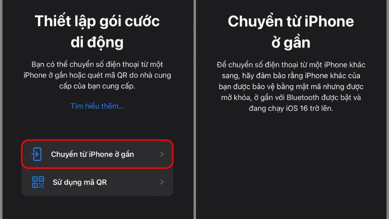 cách cài eSIM trên iPhone 14 Pro Max
