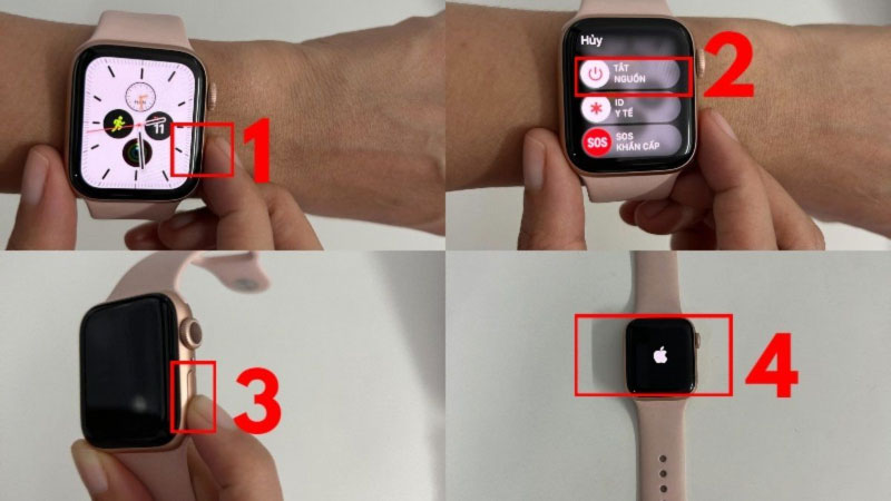 Apple Watch lên táo rồi tắt