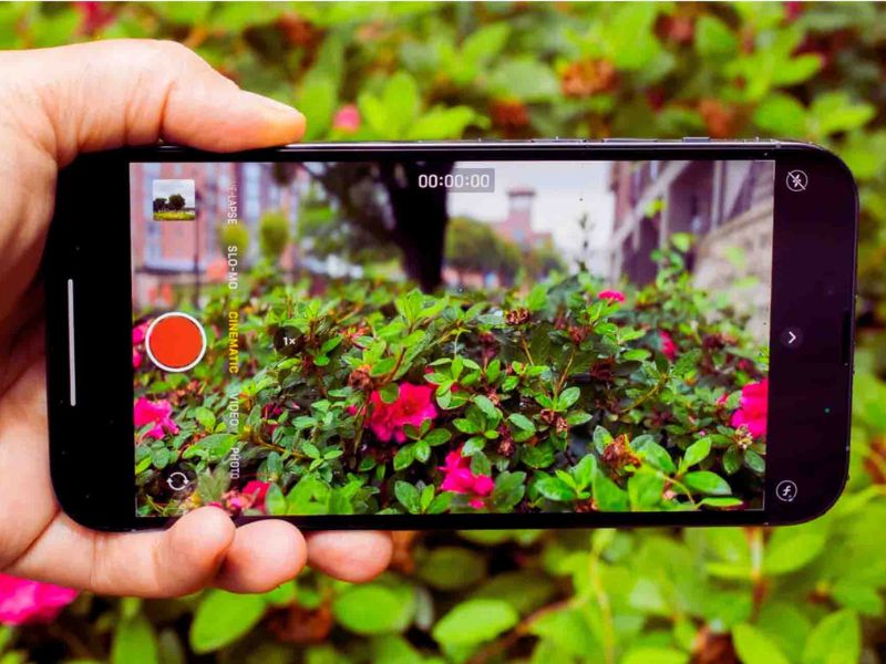 cách chụp ảnh đẹp trên iphone 13 pro max