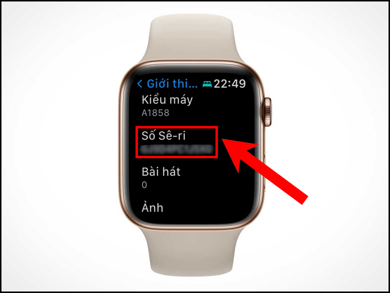 Số serial và mã IMEI trên Apple Watch là gì?