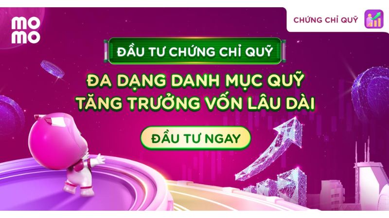 dau tu chung chi quy momo