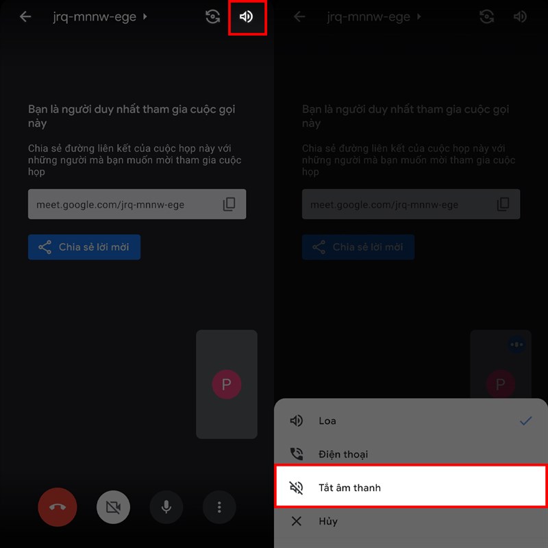 Phần mềm xóa tiếng khỏi video - RP Developers 