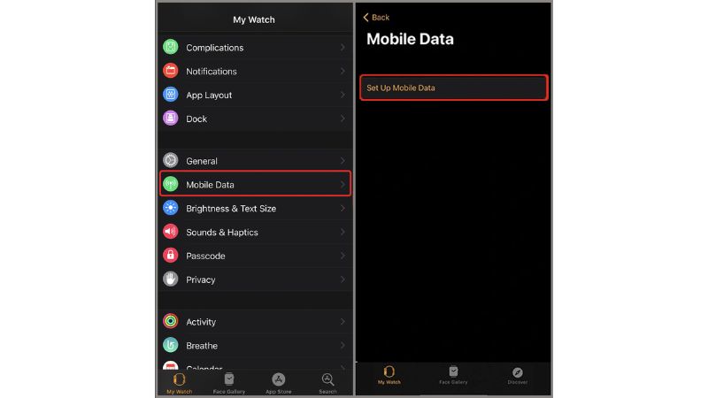 su dung esim tren apple watch