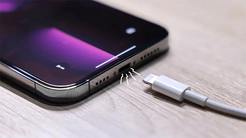ve sinh chan sac iphone