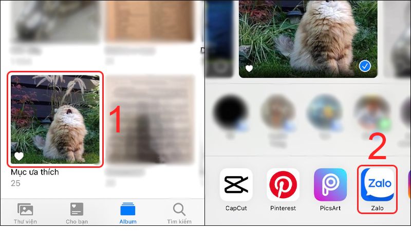 cách chia sẻ bài viết trên iphone
