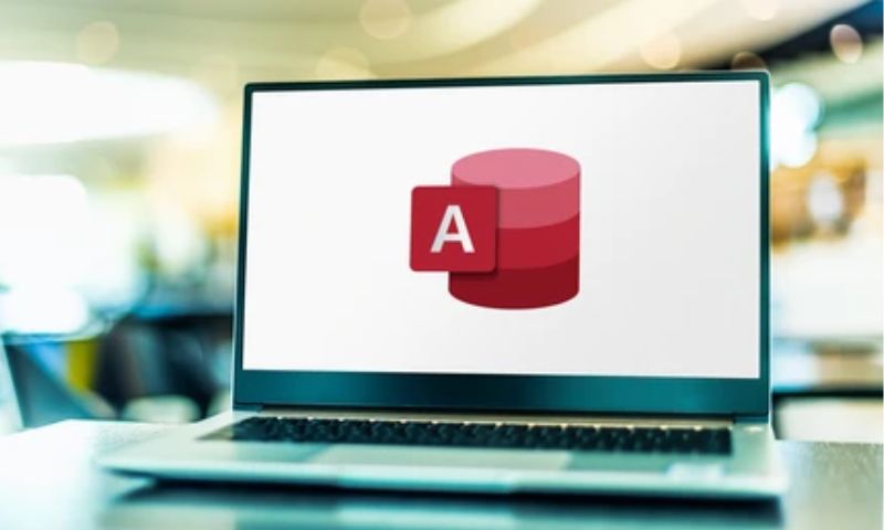 Giới thiệu về phần mềm Microsoft Access