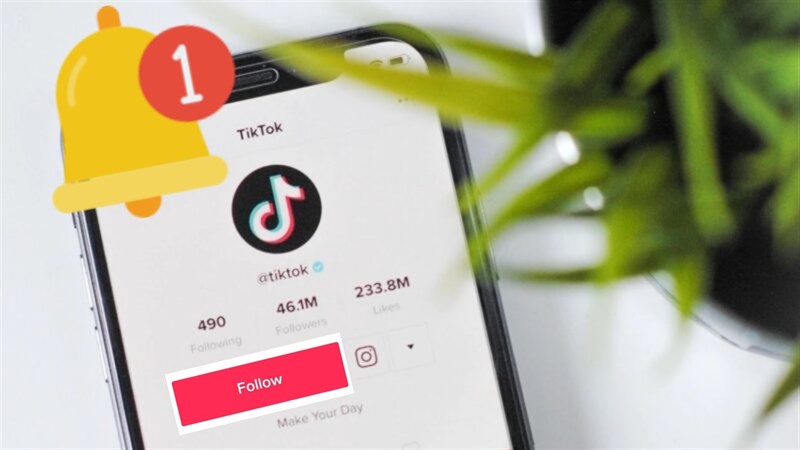 Tại sao không Follow được trên TikTok