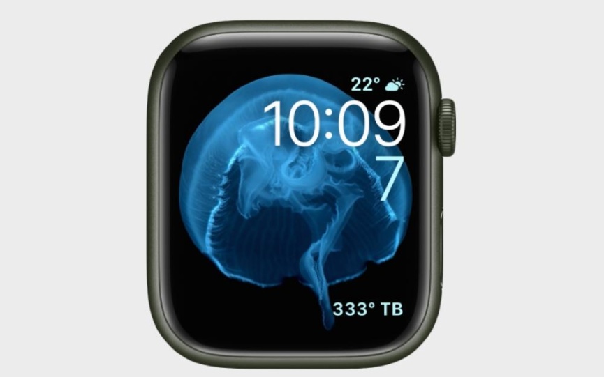 Mặt đồng hồ Apple Watch Motion