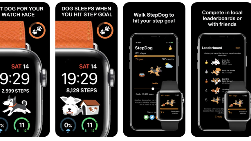 StepDog