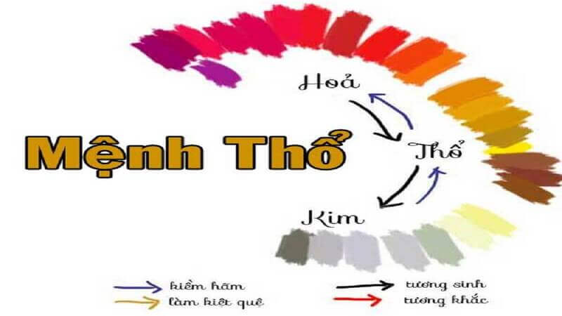 menh-tho-hop-mau-tim-khong-1