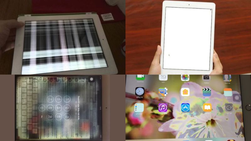 màn hình ipad air 2 bị nhòe màu