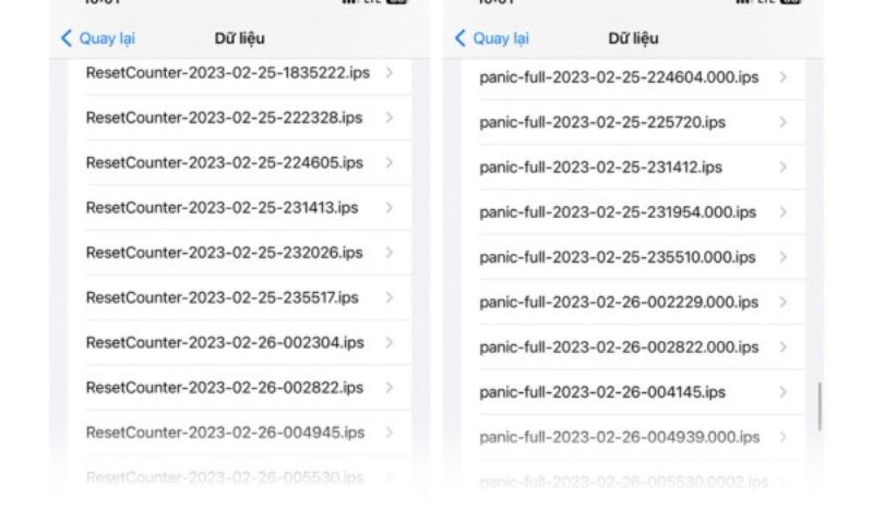 Một số các nguyên nhân chủ yếu dẫn đến lỗi panic full iphone