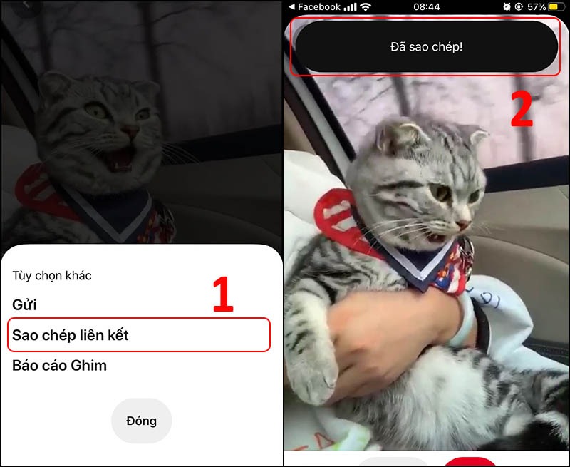 tải video pinterest về điện thoại