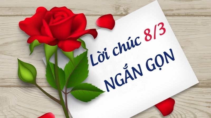 Lời chúc 8/3 ngắn gọn súc tích cho cô giáo