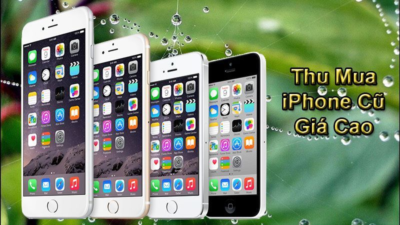 thu mua iPhone 11 cũ