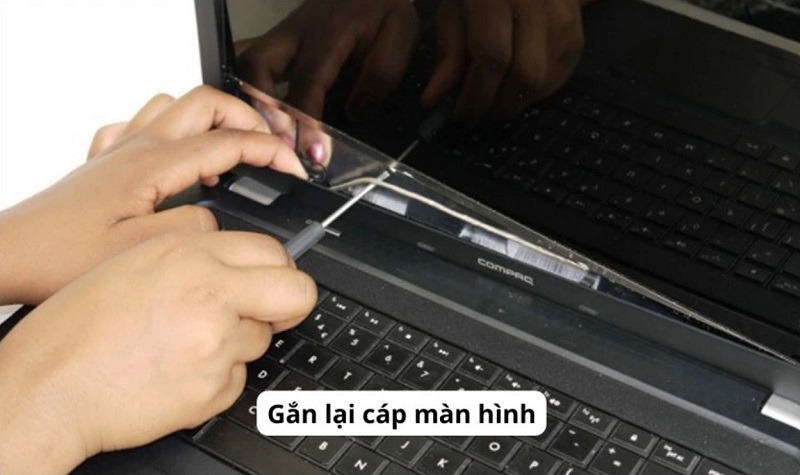Kiểm tra cáp màn hình máy tính