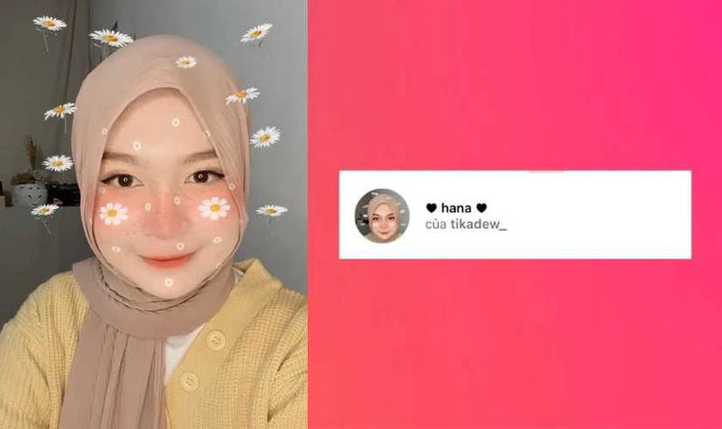 Bộ lọc Hana - Daisy