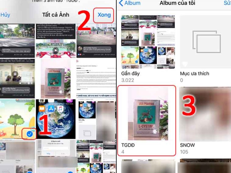 Chọn ảnh vào album