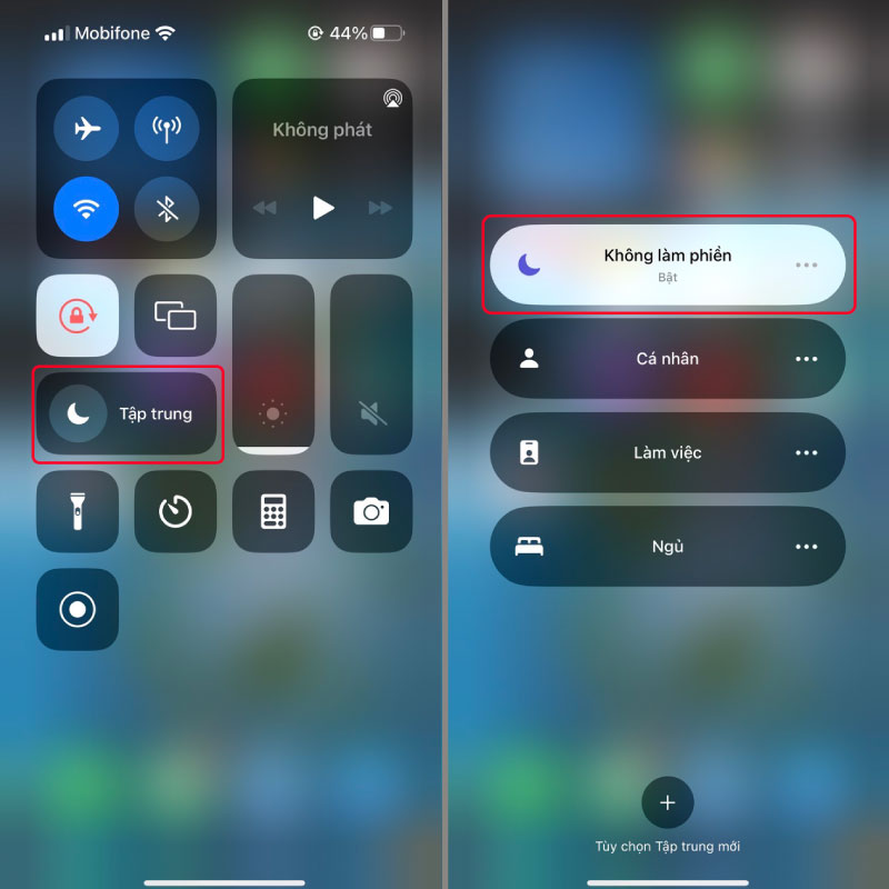 Zalo không thông báo trên iPhone