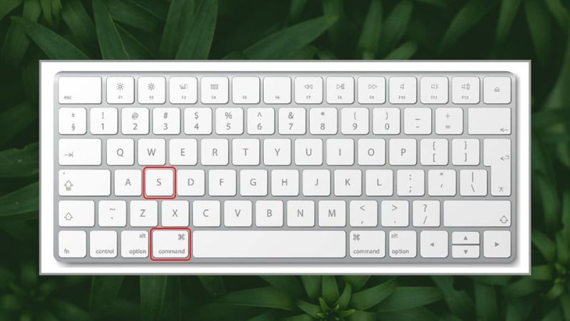 cách lưu file word trên macbook