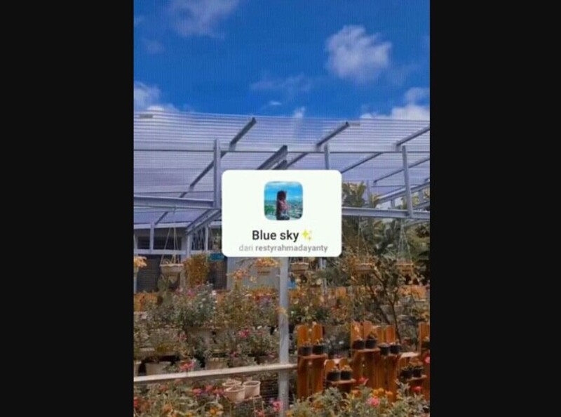 Filter Instagram đẹp hot nhất hiện nay