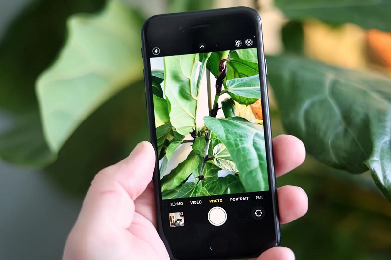 So sánh iPhone SE 2022 và iPhone 12 mini