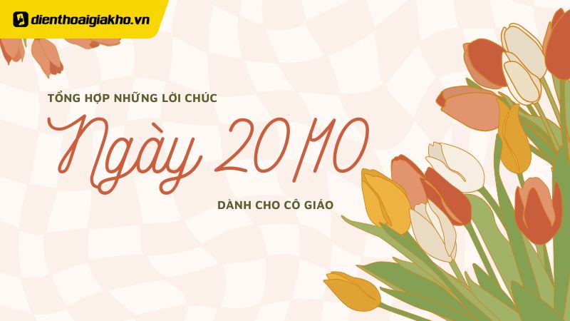 Tổng hợp 50+ lời chúc 20/10 cho cô giáo các cấp, hay và ý nghĩa nhất