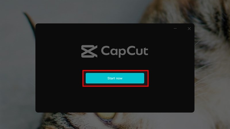 Bắt đầu sử dụng Capcut