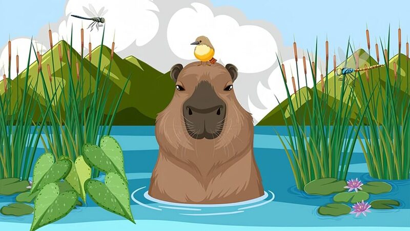 hình nền capybara cute cho máy tính