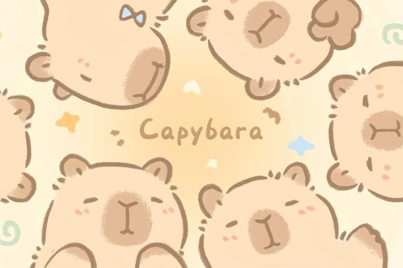 hình nền capybara cute cho máy tính