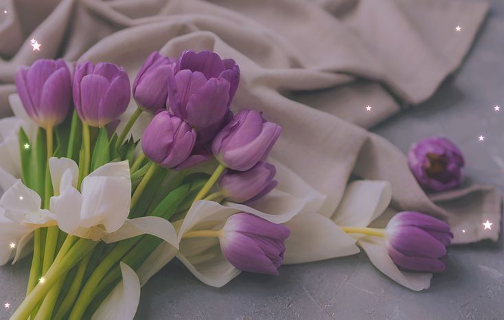 hinh-nen-hoa-tulip-cute