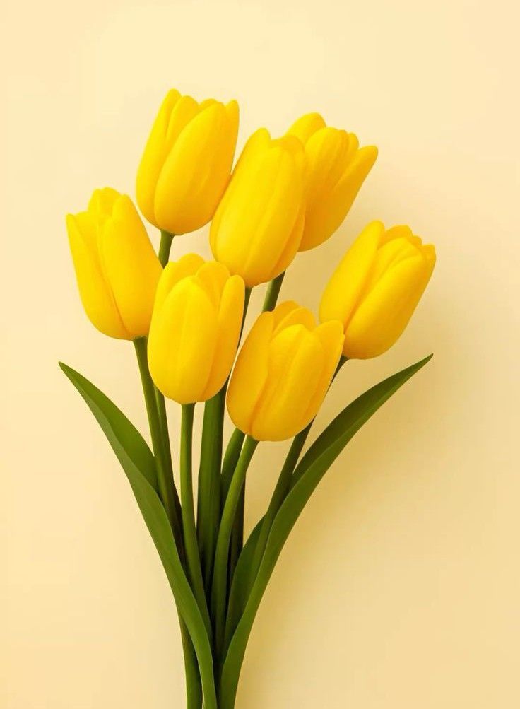 hinh-nen-hoa-tulip-cute