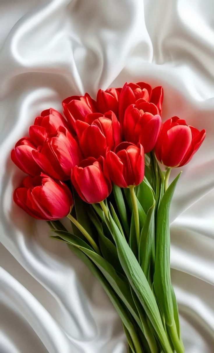 hinh-nen-hoa-tulip-cute