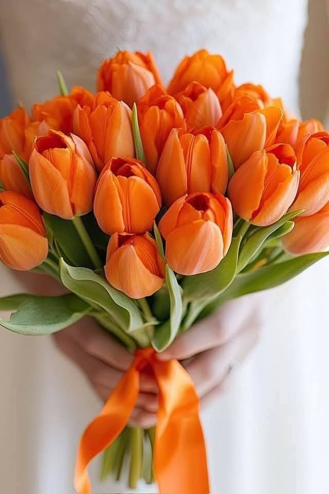 hinh-nen-hoa-tulip-cute