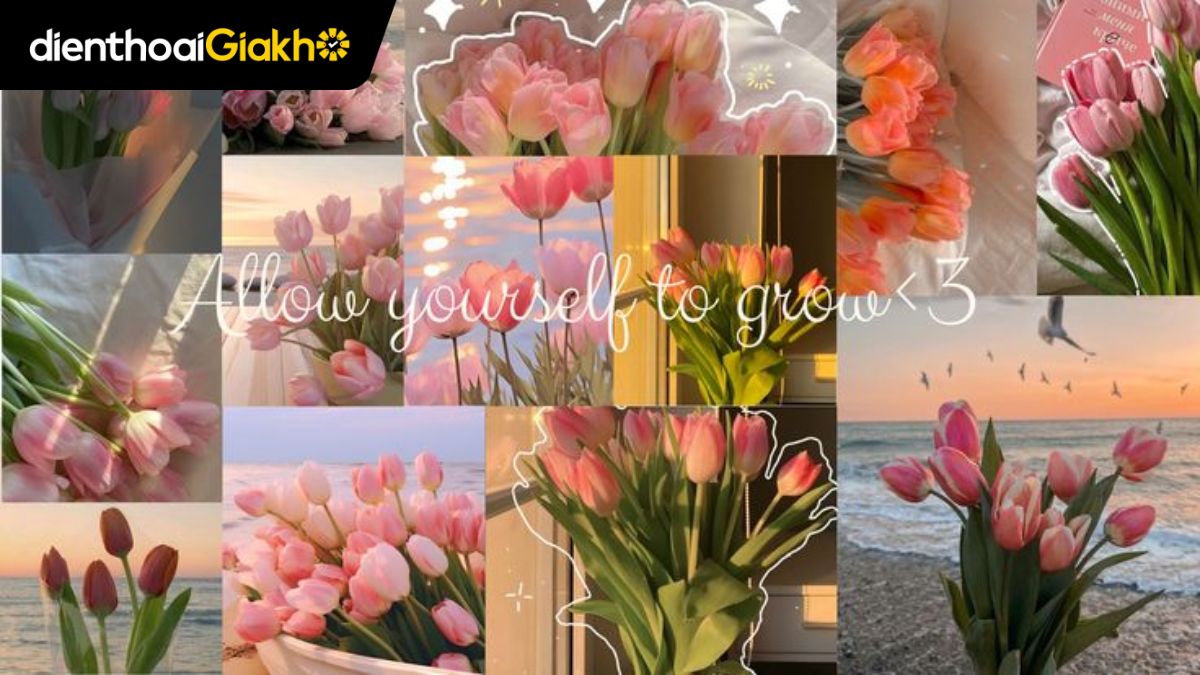 2000+ Hình nền hoa Tulip đẹp nhất Full HD cho điện thoại, máy tính