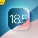 ios 18.5 beta 4