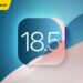 iOS 18.5 Public beta