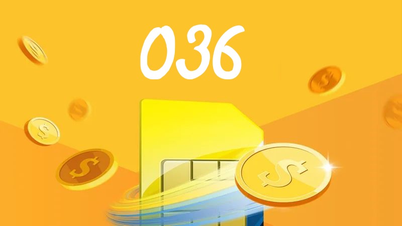 036 là đầu số mạng nào