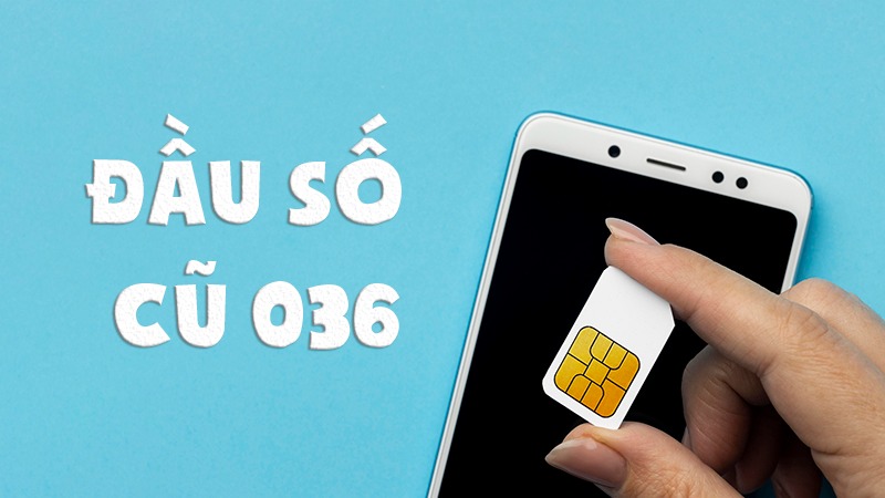 036 là đầu số mạng nào